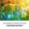 Żarówka do roślin LED PLANTY 24W E27 1200K Kobi design